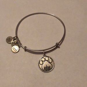 Alex and Ani bracelet